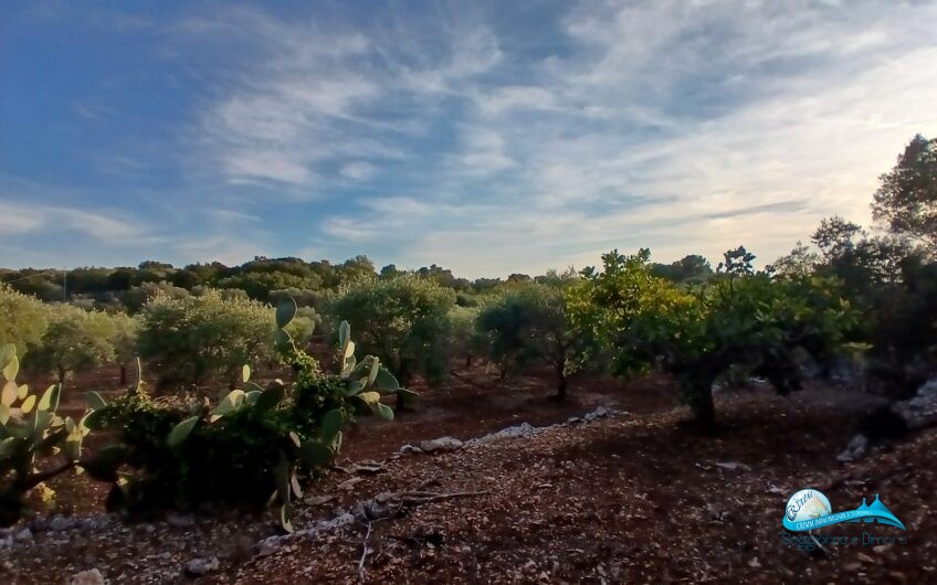 2 Trullo e lamie con terreno in posizione panorama