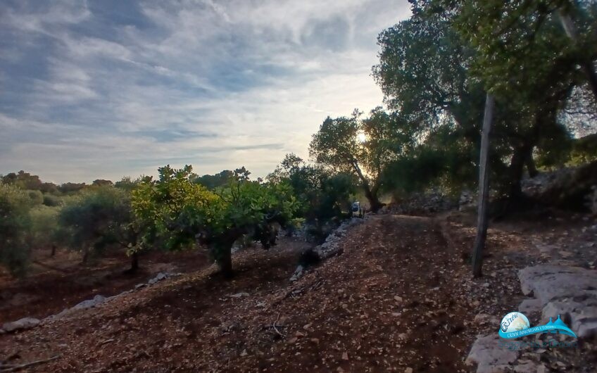 2 Trullo e lamie con terreno in posizione panorama