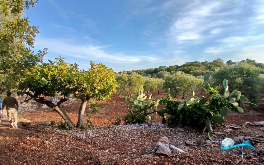 2 Trullo e lamie con terreno in posizione panorama