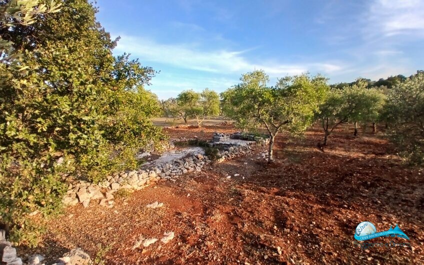 2 Trullo e lamie con terreno in posizione panorama