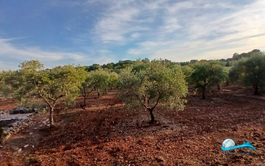 2 Trullo e lamie con terreno in posizione panorama