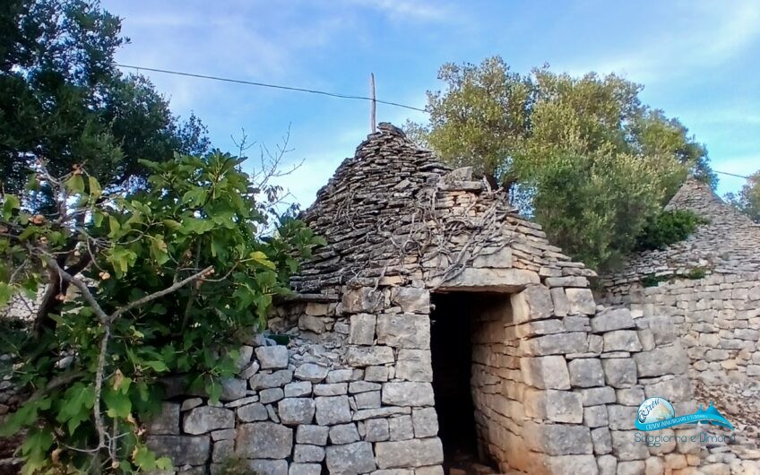 2 Trullo e lamie con terreno in posizione panorama